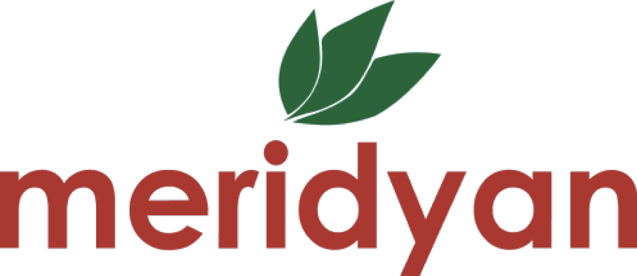 Meridyan