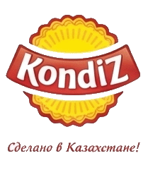 кондиз